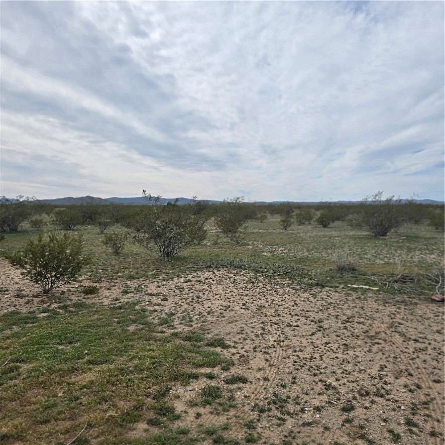 5 Acres of Land for Sale in Dolan Springs, Arizona