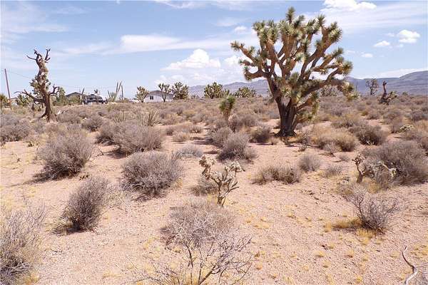 1.25 Acres of Mixed-Use Land for Sale in Meadview, Arizona