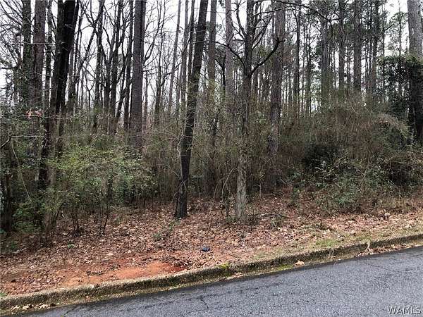 0.42 Acres of Residential Land for Sale in Tuscaloosa, Alabama