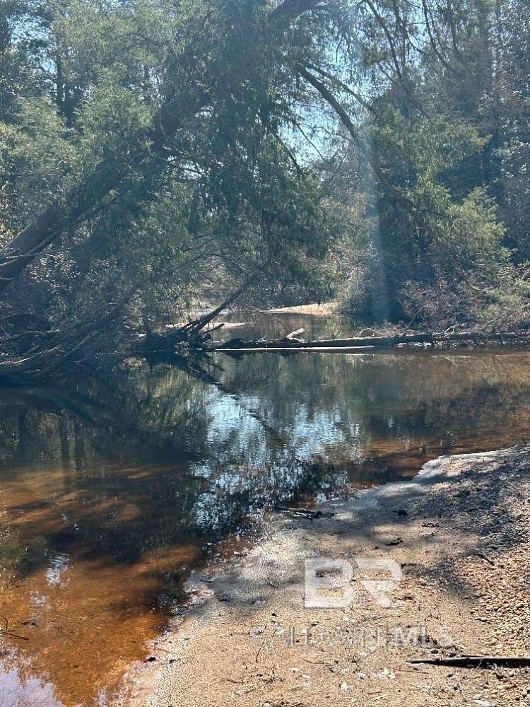 Land for Sale in Flomaton, Alabama