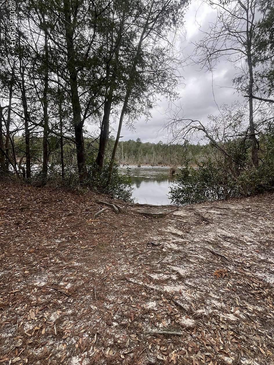 2 Acres of Residential Land for Sale in Holt, Florida