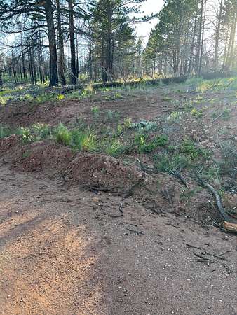 2 Acres of Land for Sale in Fort Garland, Colorado