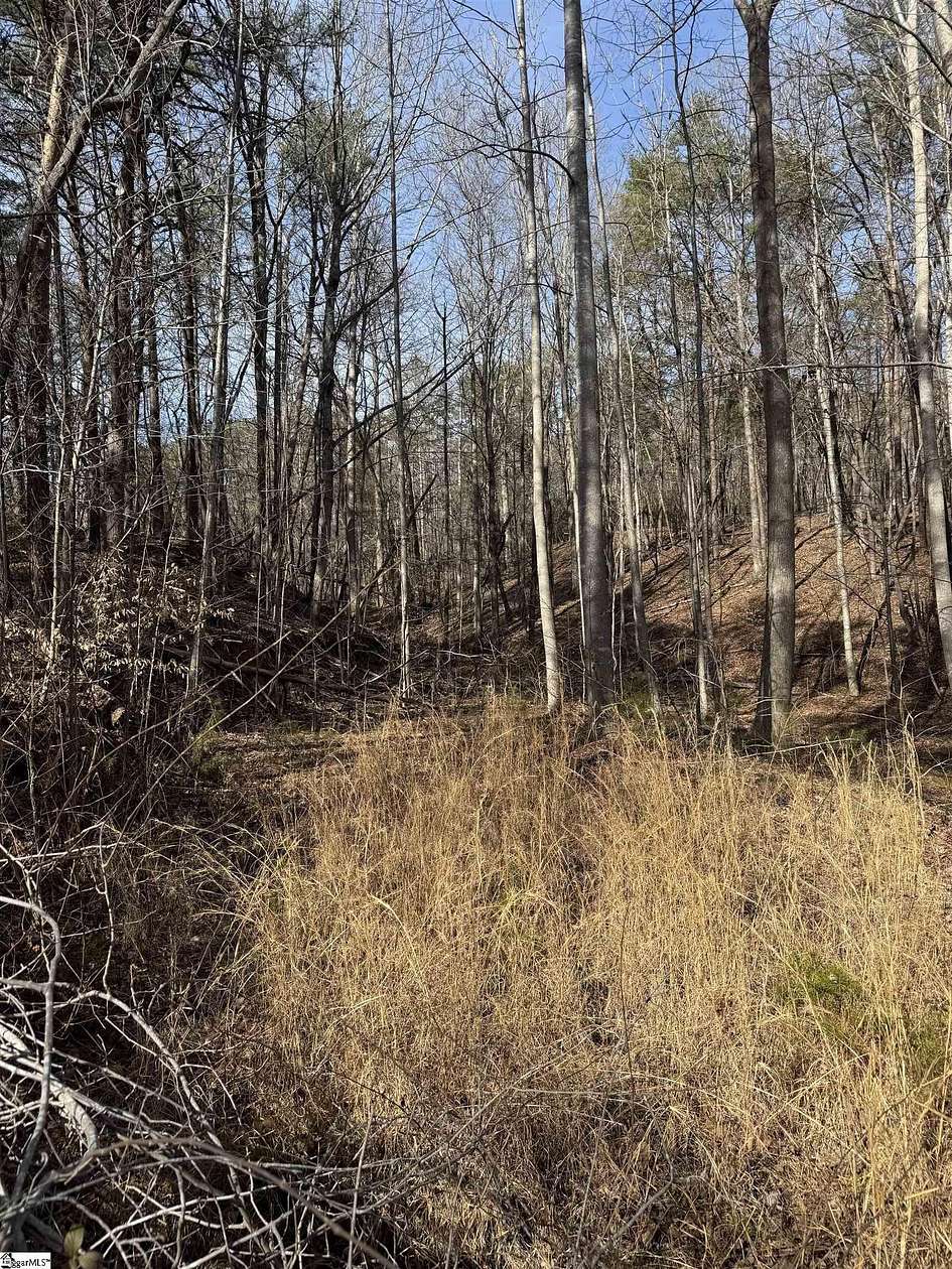 9.3 Acres of Residential Land for Sale in Landrum, South Carolina