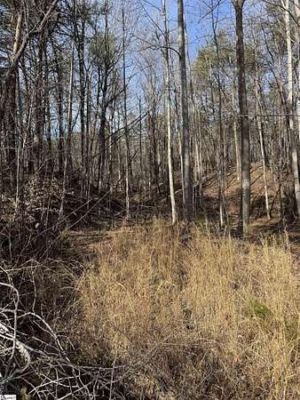 9.3 Acres of Residential Land for Sale in Landrum, South Carolina