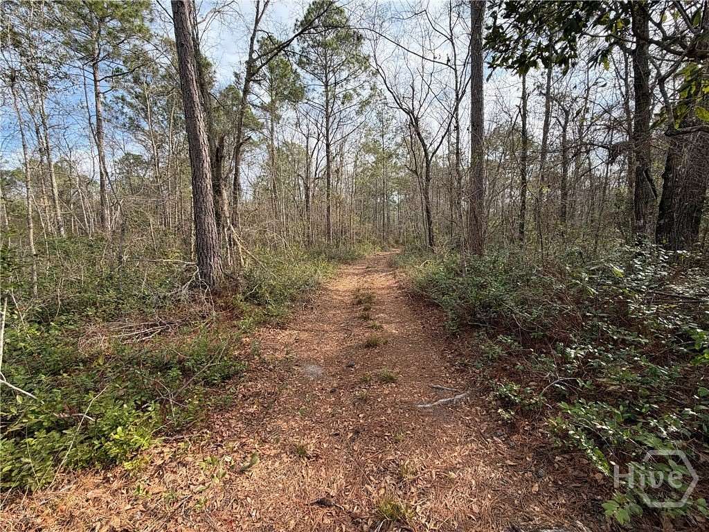 49 Acres of Agricultural & Residential Land for Sale in Guyton, Georgia