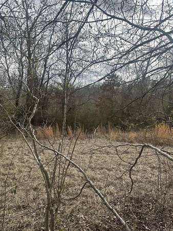 19.5 Acres of Land for Sale in Hot Springs Village, Arkansas