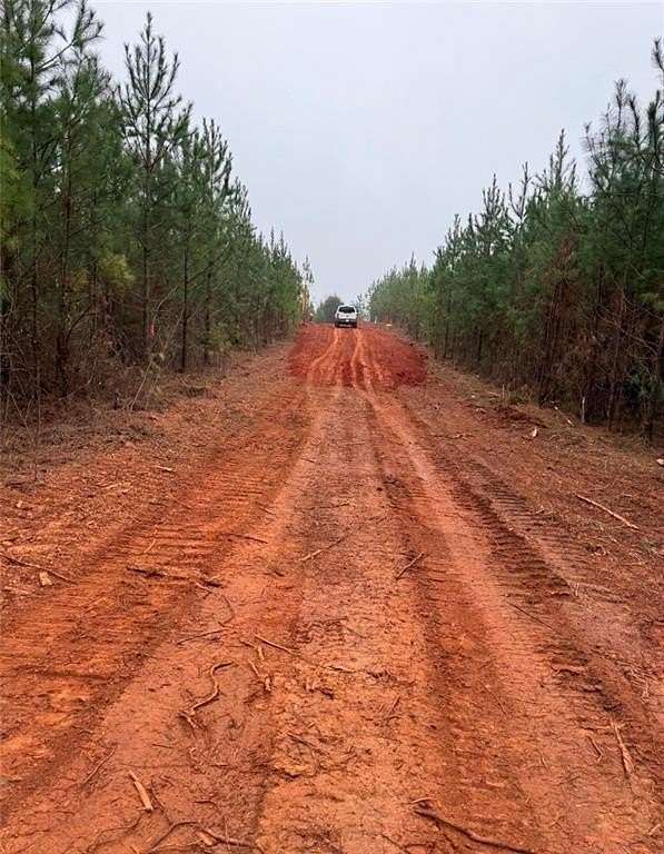 5.19 Acres of Land with Home for Sale in Salem, Alabama