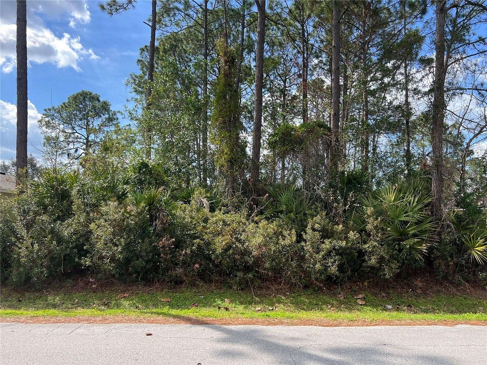 0.23 Acres of Residential Land for Sale in Palm Coast, Florida