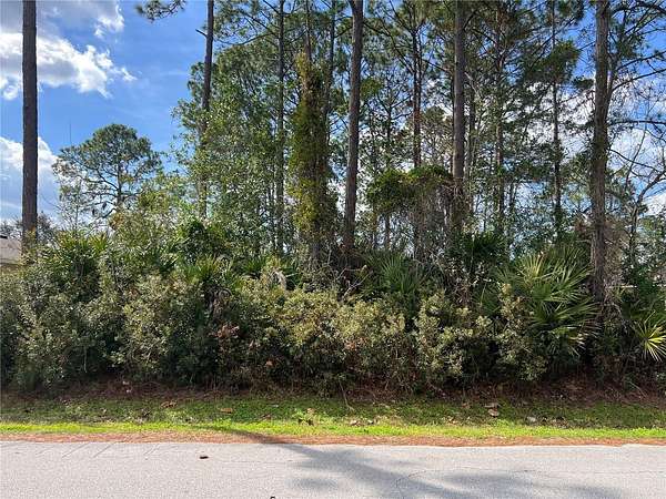 0.23 Acres of Residential Land for Sale in Palm Coast, Florida