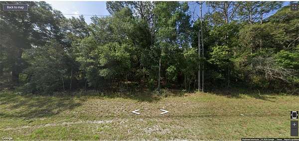 1.25 Acres of Residential Land for Sale in Dunnellon, Florida