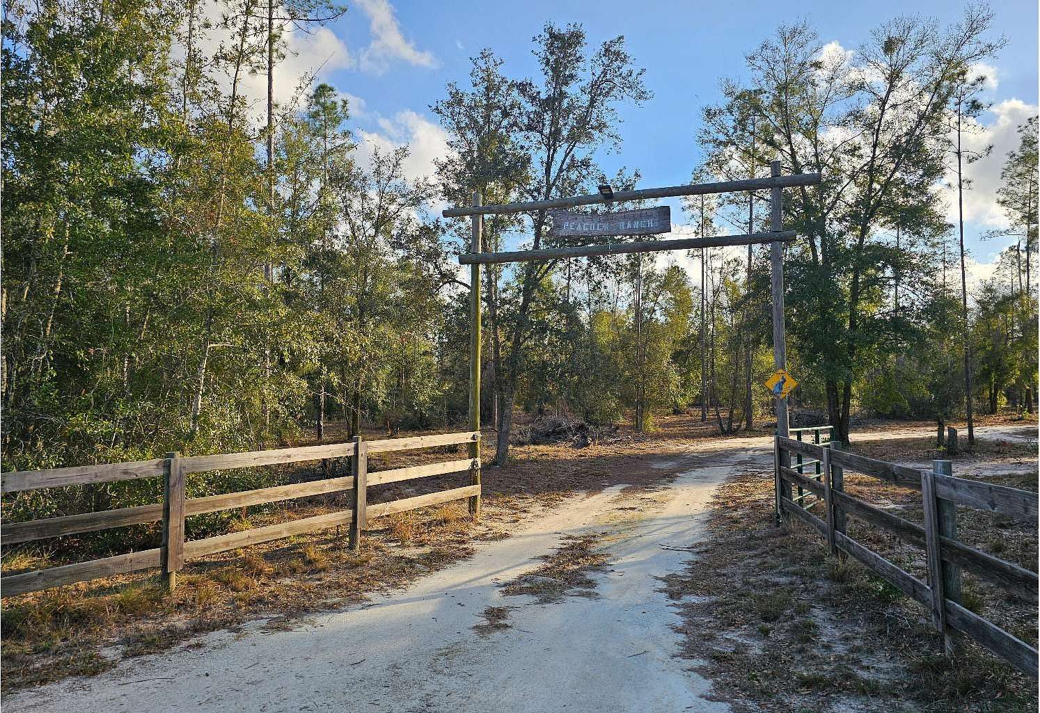 10 Acres of Recreational & Residential Land for Sale in Live Oak, Florida