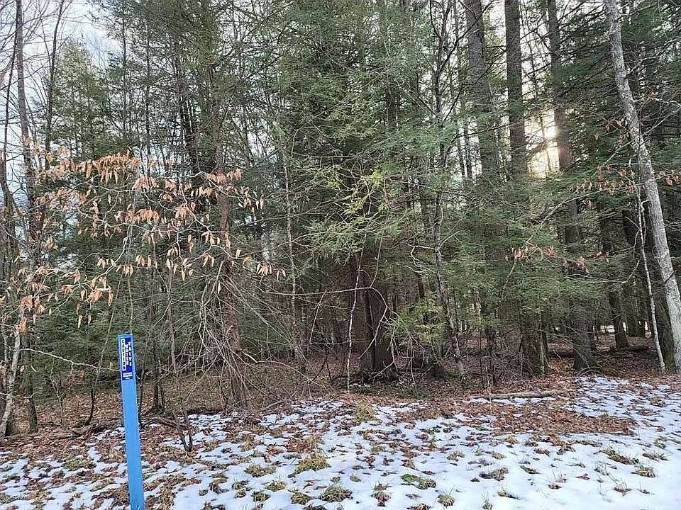 19.8 Acres of Recreational & Residential Land for Sale in Shady Spring, West Virginia