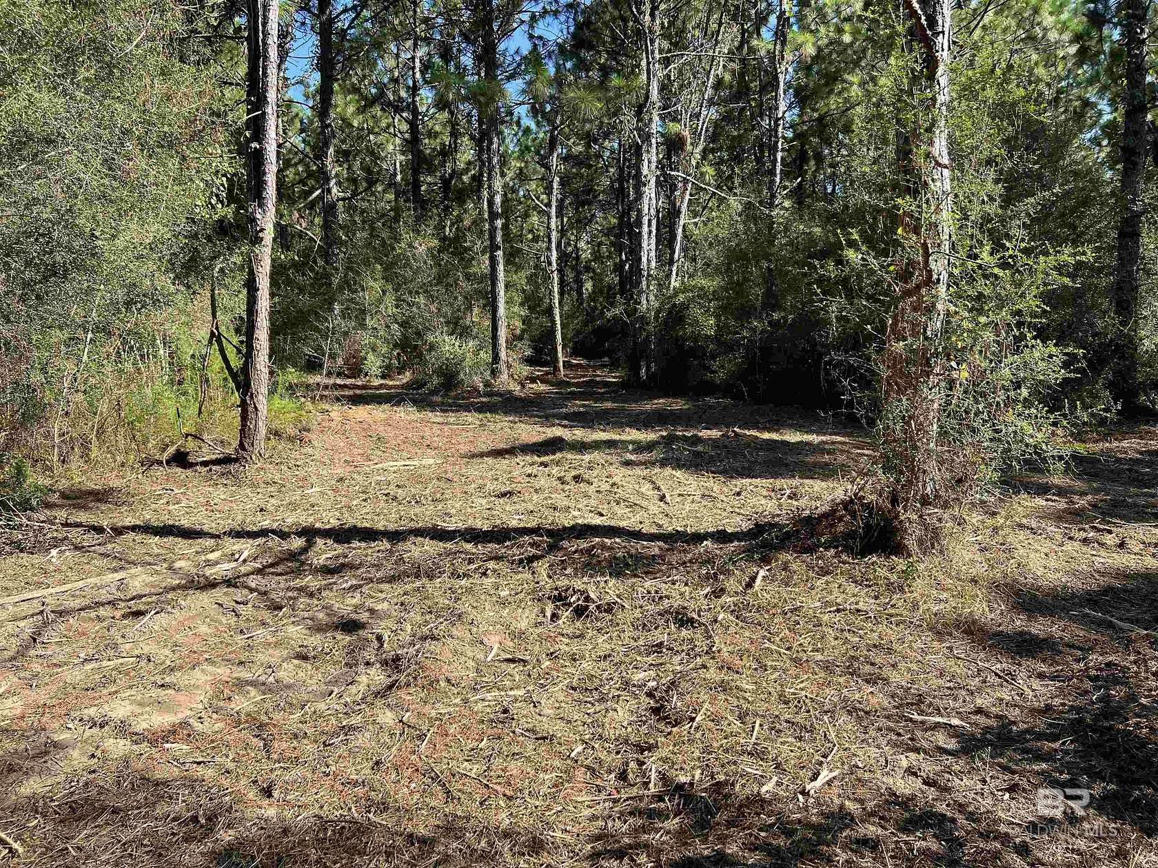 14 Acres of Land for Sale in Loxley, Alabama