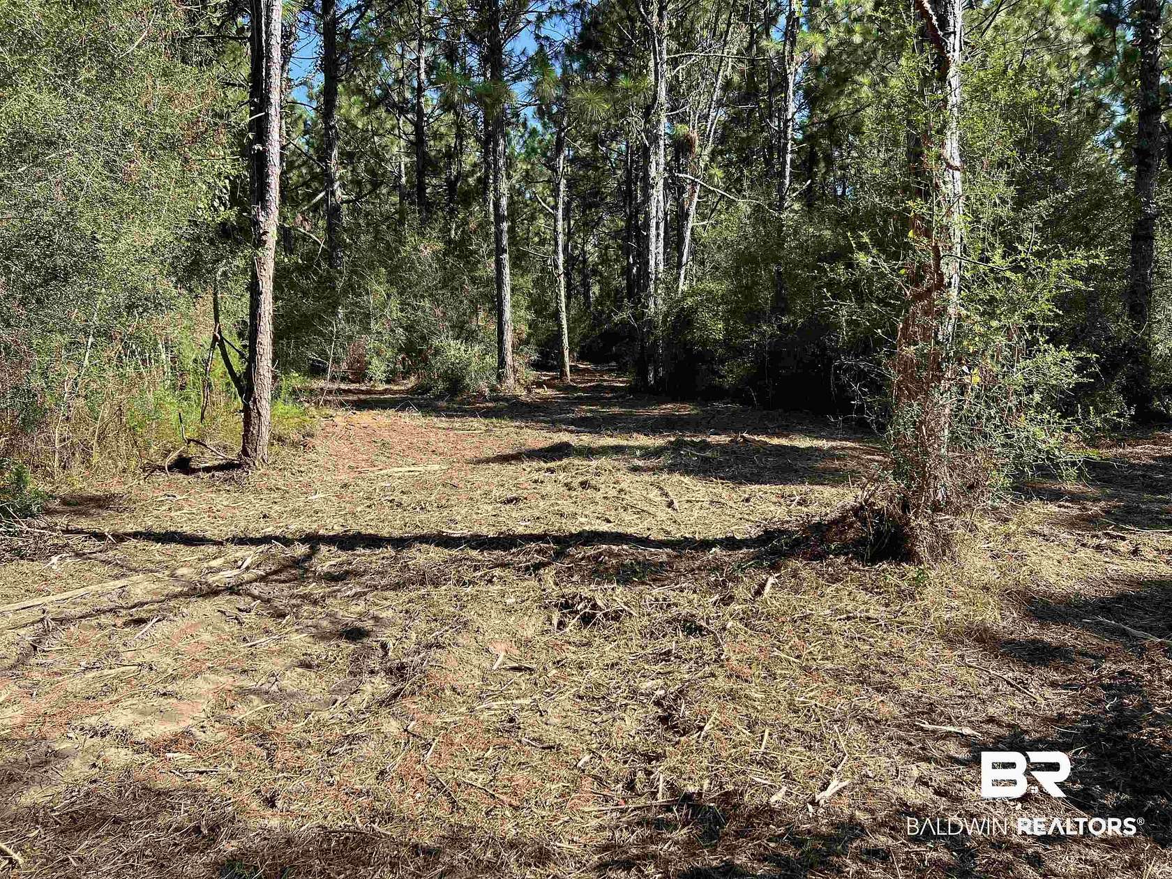 14 Acres of Land for Sale in Loxley, Alabama