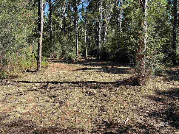 14 Acres of Land for Sale in Loxley, Alabama