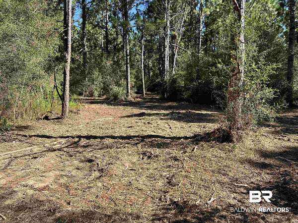 14 Acres of Land for Sale in Loxley, Alabama