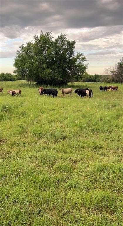60 Acres of Agricultural Land for Sale in Kincaid, Kansas