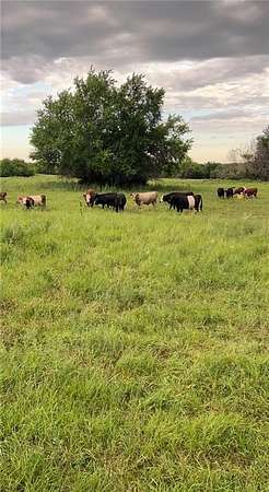 60 Acres of Agricultural Land for Sale in Kincaid, Kansas