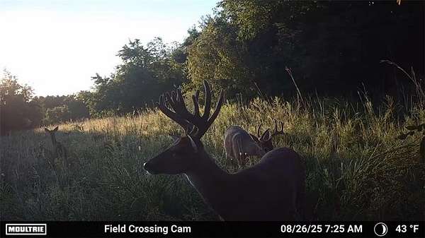 60 Acres of Agricultural Land for Sale in Kincaid, Kansas