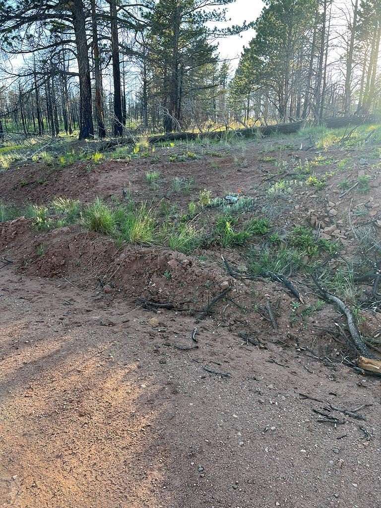 2.68 Acres of Residential Land for Sale in Fort Garland, Colorado