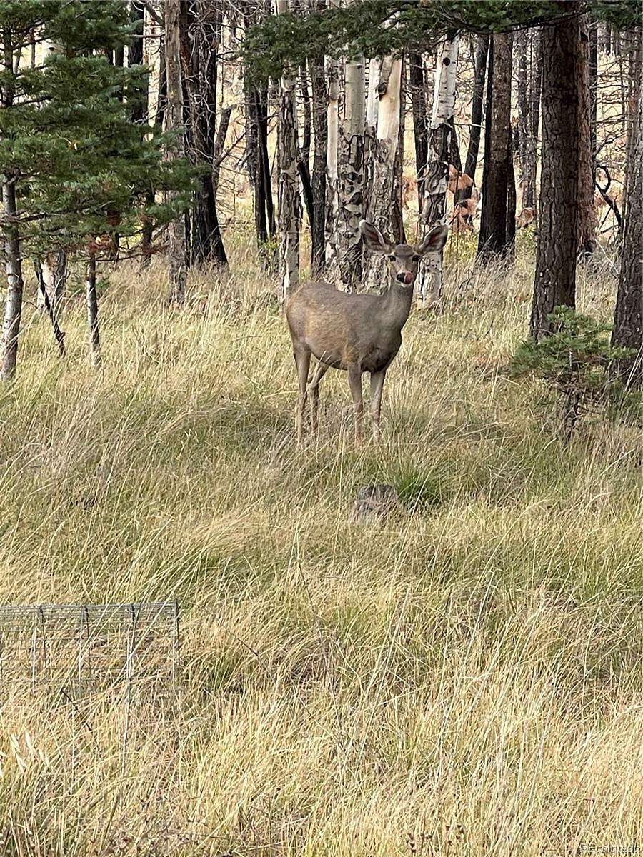 2.7 Acres of Residential Land for Sale in Fort Garland, Colorado