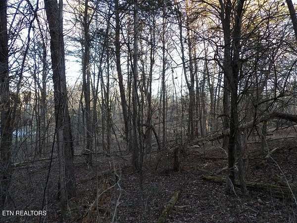 0.4 Acres of Residential Land for Sale in Baneberry, Tennessee