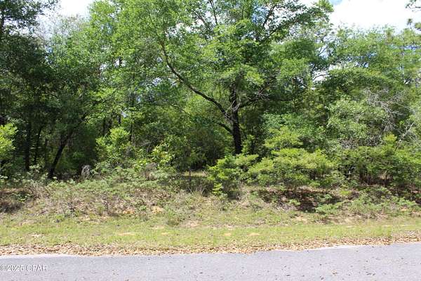 1 Acre of Residential Land for Sale in Chipley, Florida