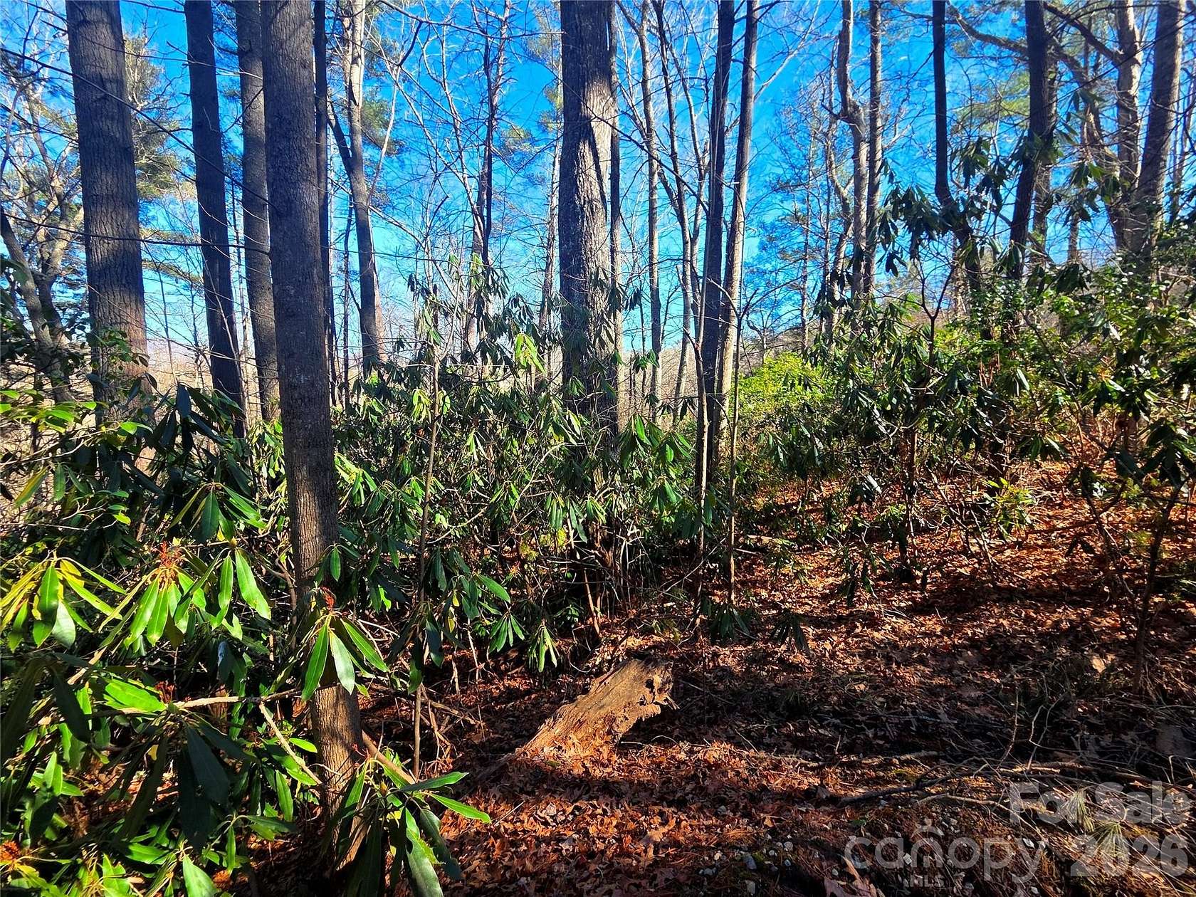 0.75 Acres of Residential Land for Sale in Waynesville, North Carolina