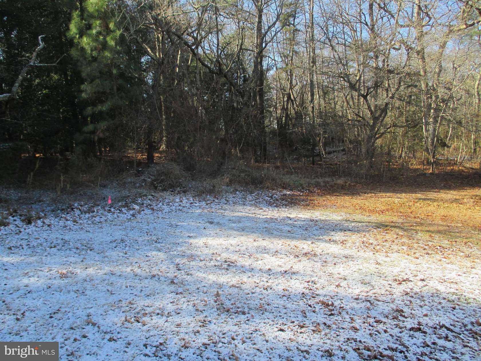 2.38 Acres of Land for Sale in Dagsboro, Delaware