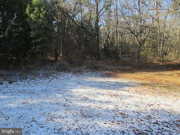 2.38 Acres of Land for Sale in Dagsboro, Delaware