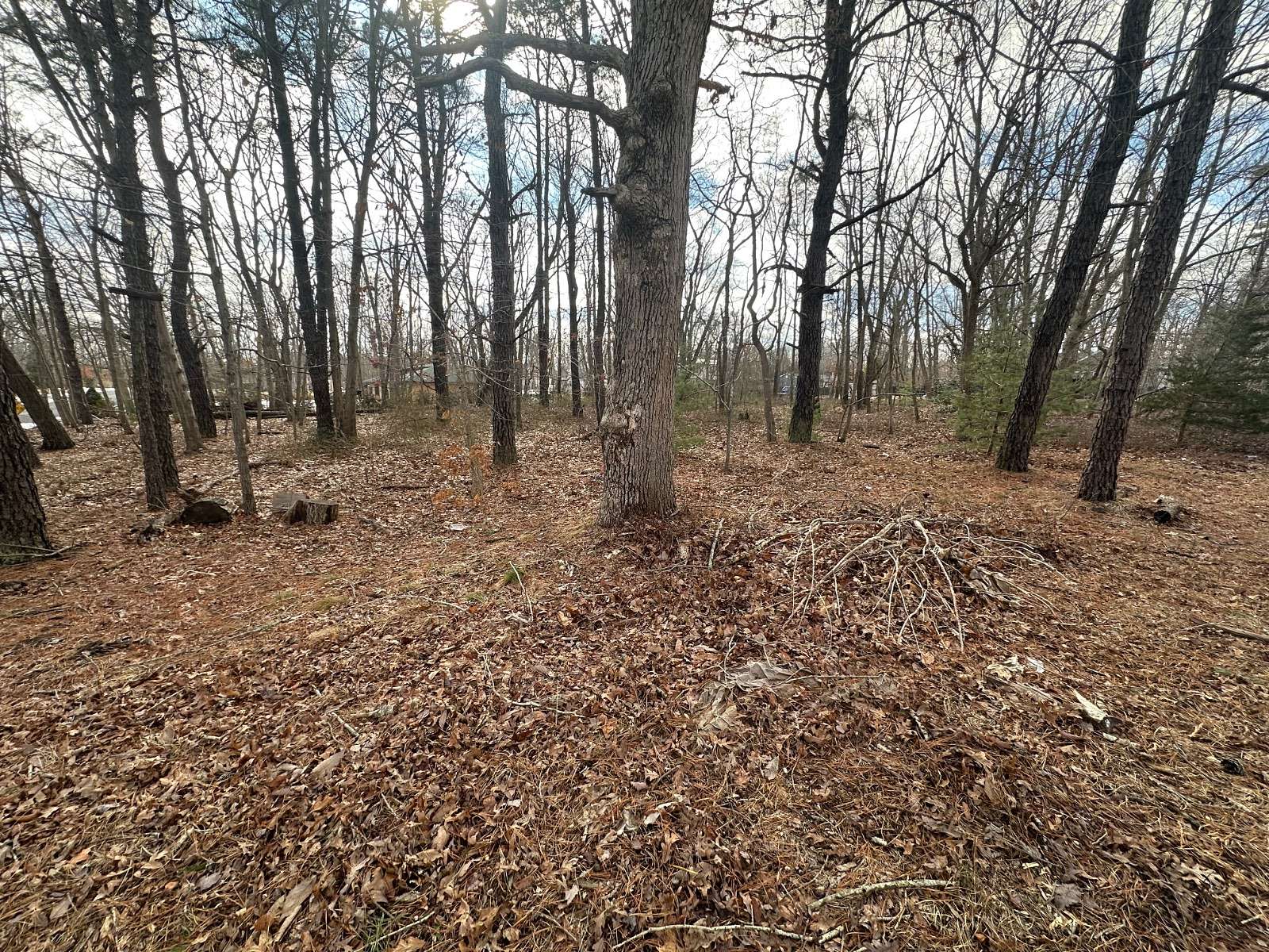 0.8 Acres of Land for Sale in Jackson Township, New Jersey