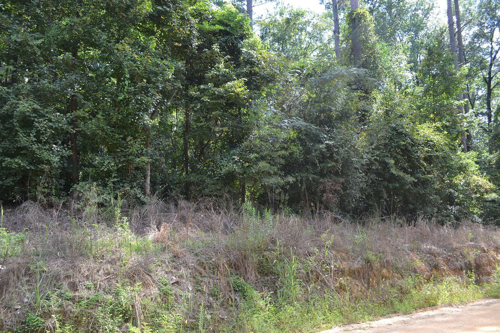 0.5 Acres of Residential Land for Sale in Highland Home, Alabama
