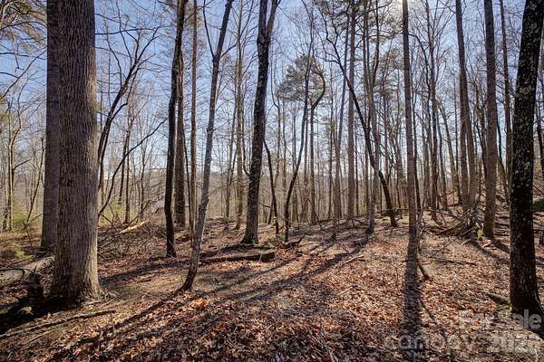 1.64 Acres of Residential Land for Sale in Lake Lure, North Carolina
