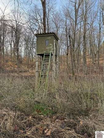 25 Acres of Recreational & Residential Land for Sale in Princeton, Kentucky