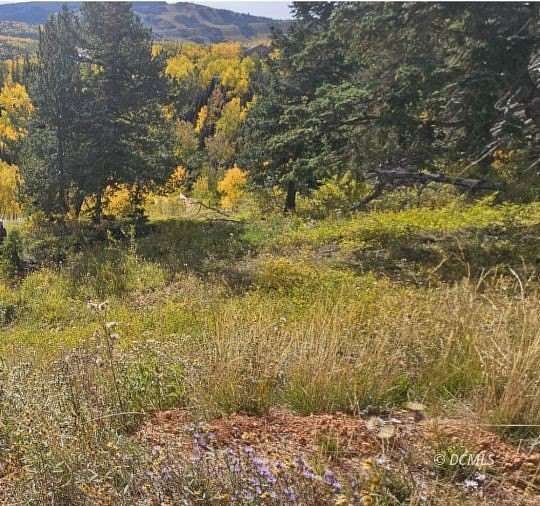 0.5 Acres of Residential Land for Sale in Brian Head, Utah