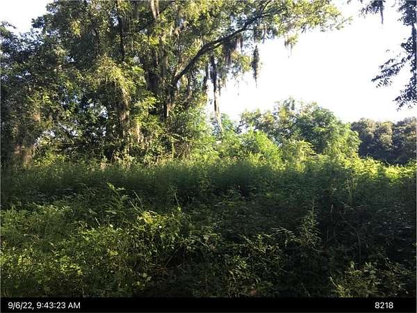 1.25 Acres of Residential Land for Sale in Blackshear, Georgia