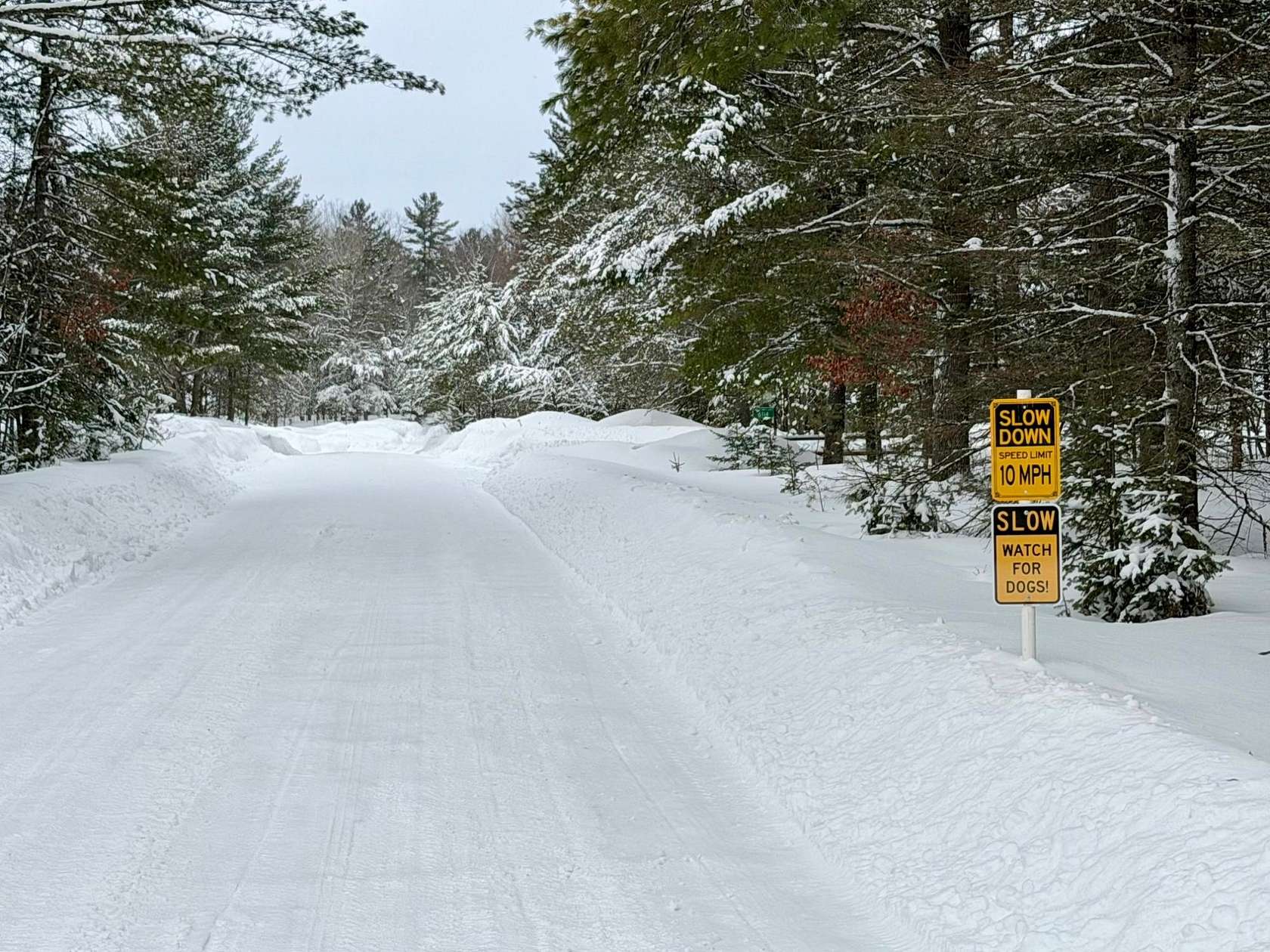 3.19 Acres of Land for Sale in Land O' Lakes, Wisconsin