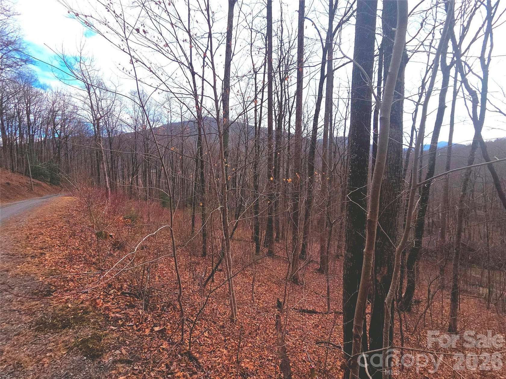 1.12 Acres of Residential Land for Sale in Waynesville, North Carolina