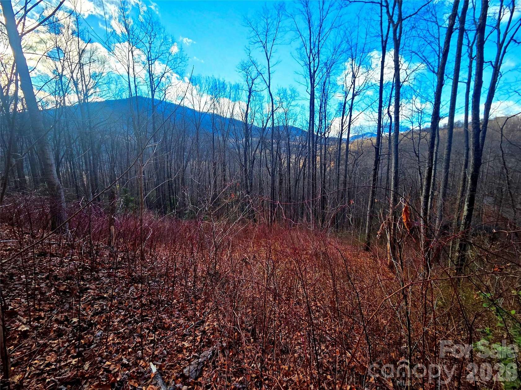 1.12 Acres of Residential Land for Sale in Waynesville, North Carolina
