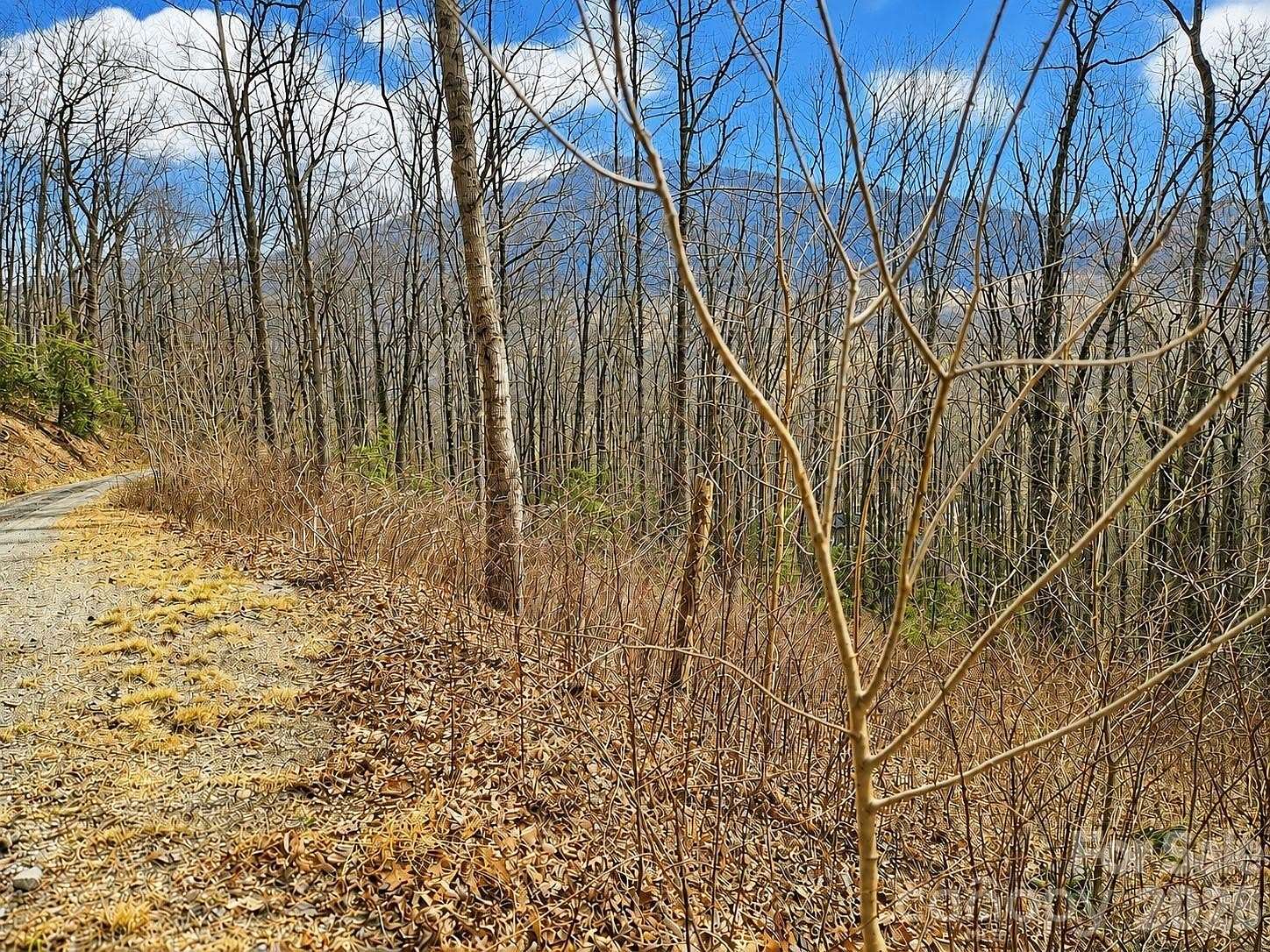 1.12 Acres of Residential Land for Sale in Waynesville, North Carolina
