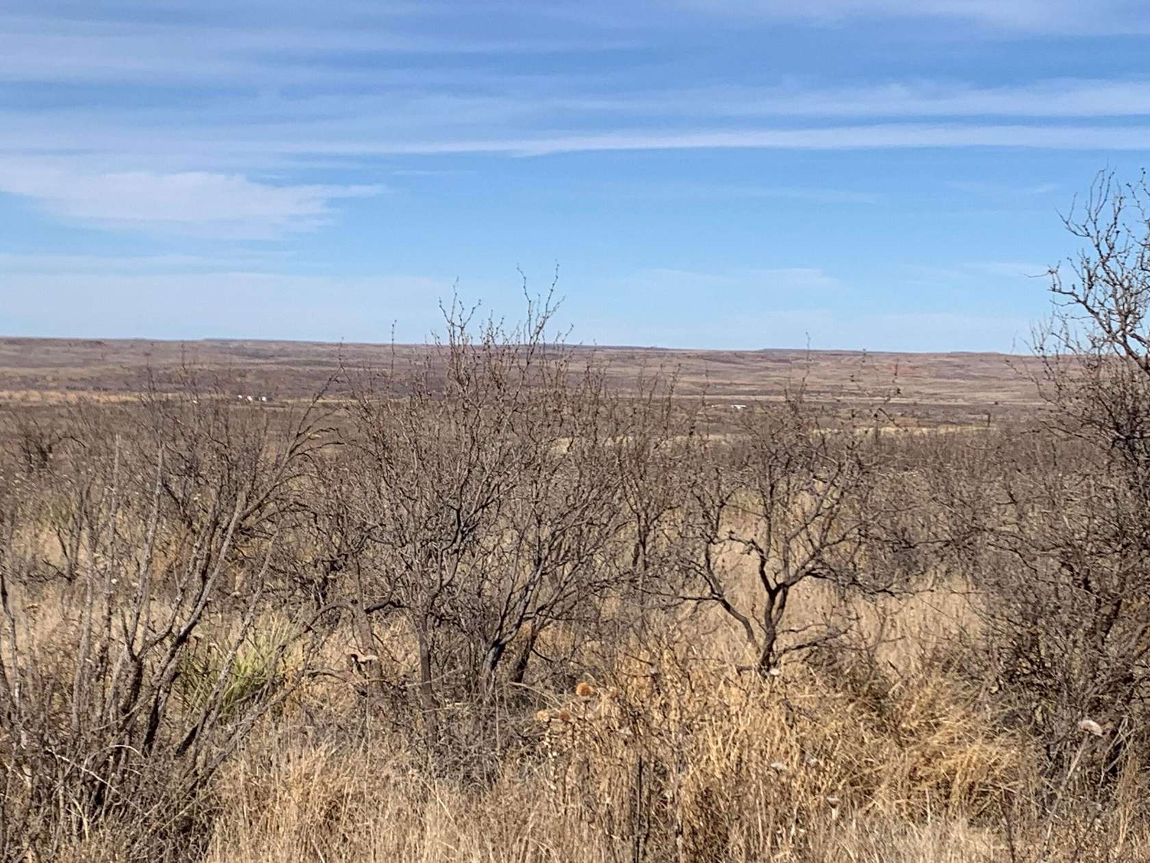 19.1 Acres of Land for Sale in Amarillo, Texas