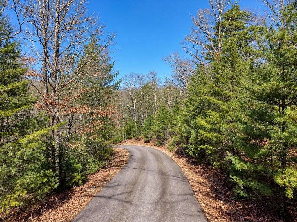 1 Acre of Residential Land for Sale in Morganton, Georgia