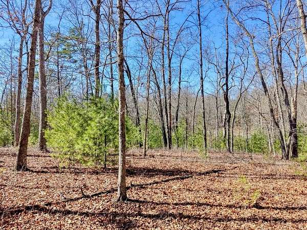 1 Acre of Residential Land for Sale in Morganton, Georgia