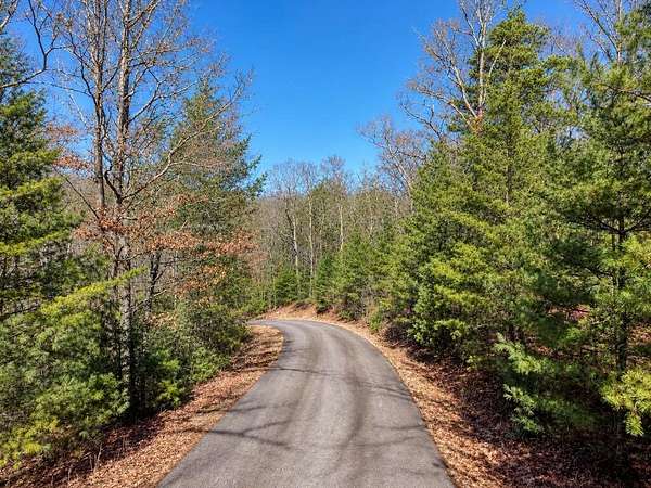 1 Acre of Residential Land for Sale in Morganton, Georgia
