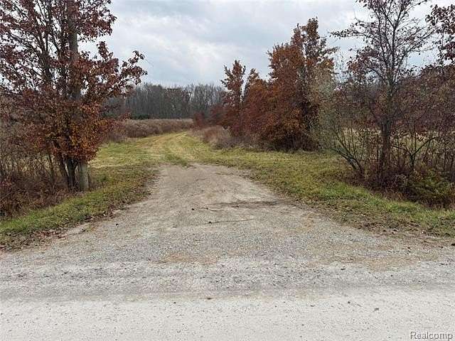 10.4 Acres of Land for Sale in China Township, Michigan
