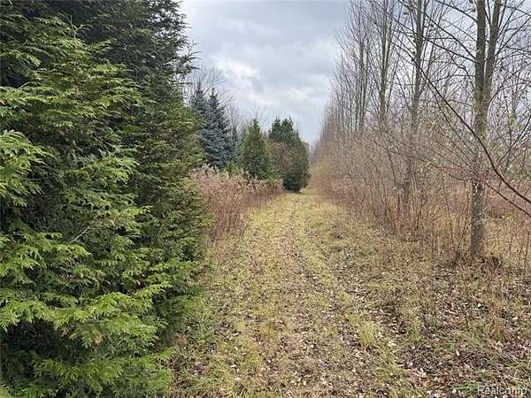 10.4 Acres of Land for Sale in China Township, Michigan