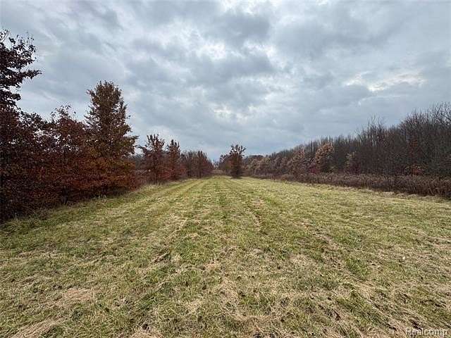10.1 Acres of Land for Sale in China Township, Michigan