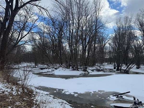 10.1 Acres of Land for Sale in China Township, Michigan