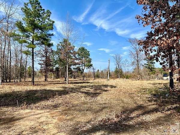 0.49 Acres of Residential Land for Sale in Ashdown, Arkansas