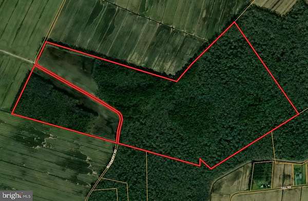 175 Acres of Land for Sale in Whaleyville, Maryland